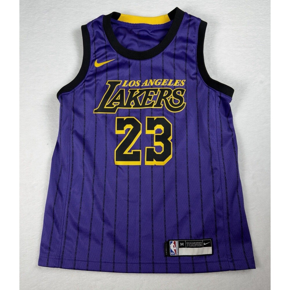 Nike Los Angeles Lakers LeBron James Swingman Jersey Youth Medium Purple 23 NBA